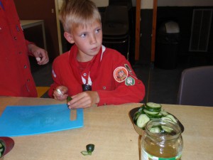 Beverkamp - 2015 (7)