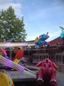 Beverkamp - 2016 (7)