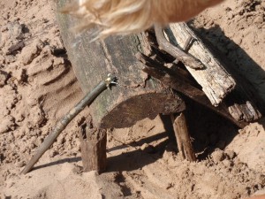 Welpen - Kamp - 2015 (76)