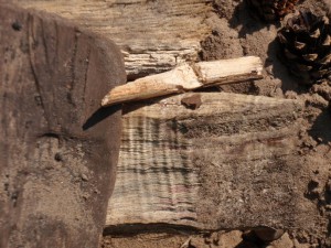 Welpen - Kamp - 2015 (80)